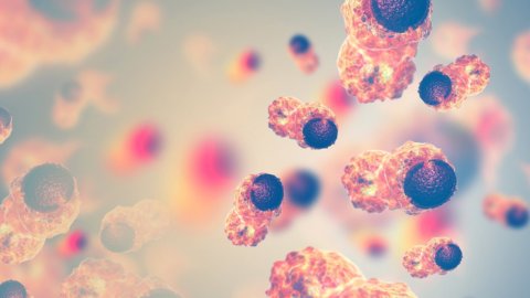 Where Keto Meets Cancer