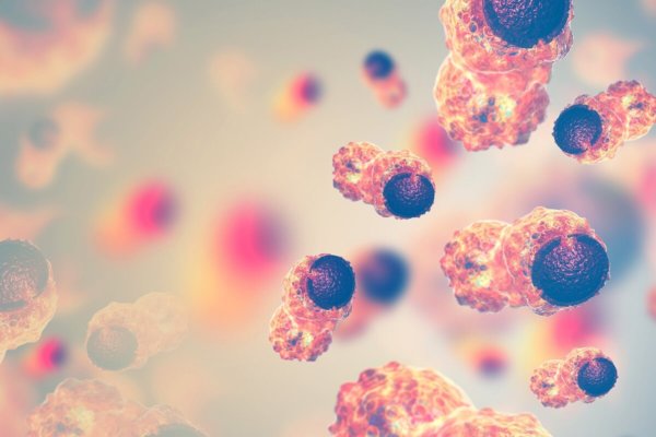 Where Keto Meets Cancer