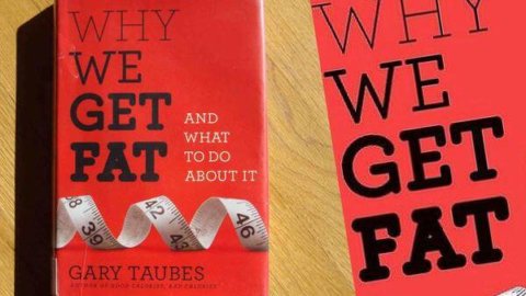 Why We Get Fat