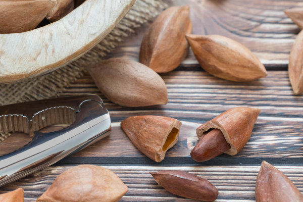 Pili Hunters Pili Nuts