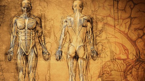 The History of the Keto Diet