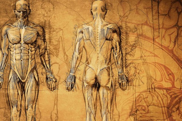 The History of the Keto Diet