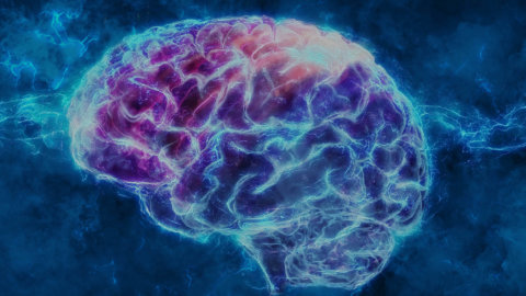 Ketogenic Diet for Neurological Disorders