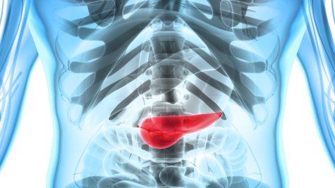 Does Keto Work Without a Gallbladder?