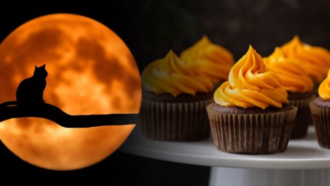 Tips For a Happy Halloween