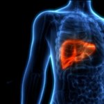 Liver Health