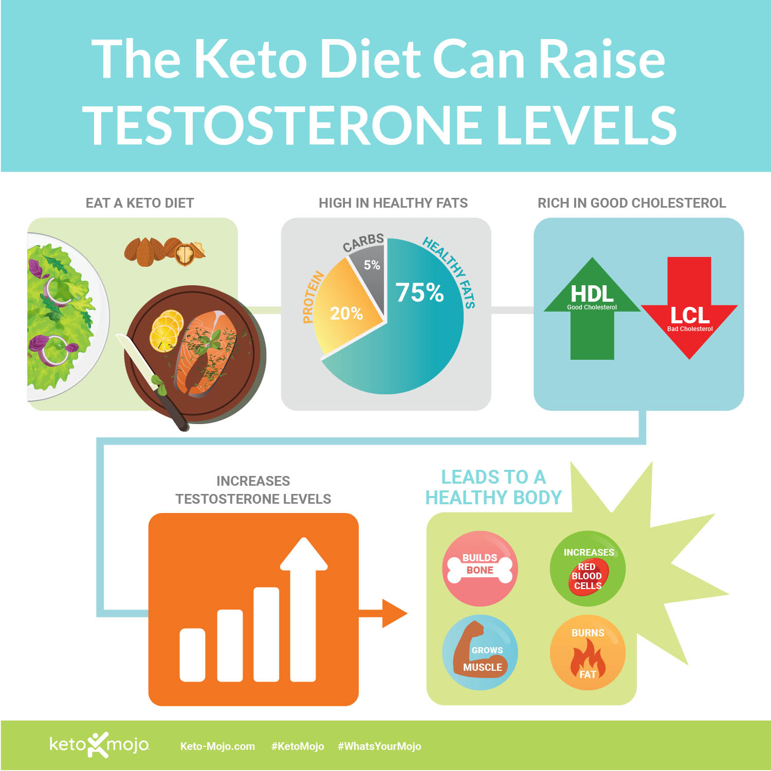 Keto Mojo Raise Testosterone
