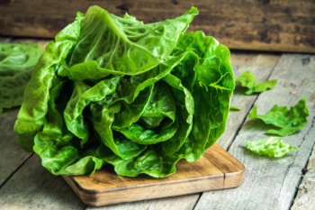 Romaine Lettuce