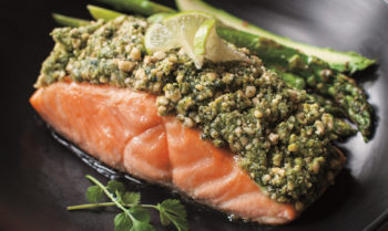 Cashew Crusted Salmon Recipe