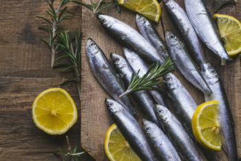 Sardines