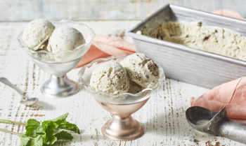 Keto Mint Chocolate Ice Cream Recipe