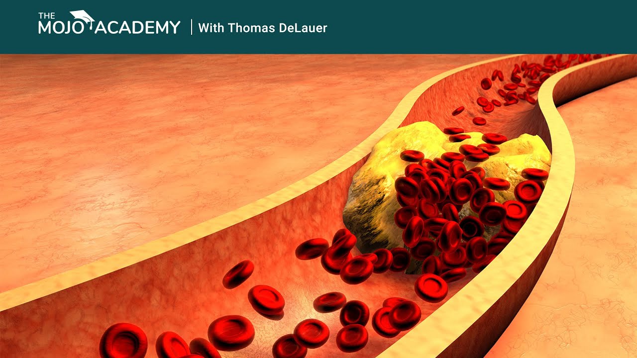 does-keto-raise-cholesterol