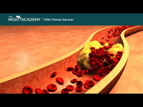 does-keto-raise-cholesterol