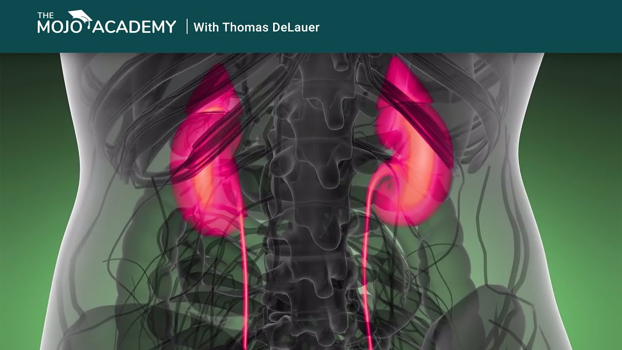 how-does-keto-affect-your-kidneys