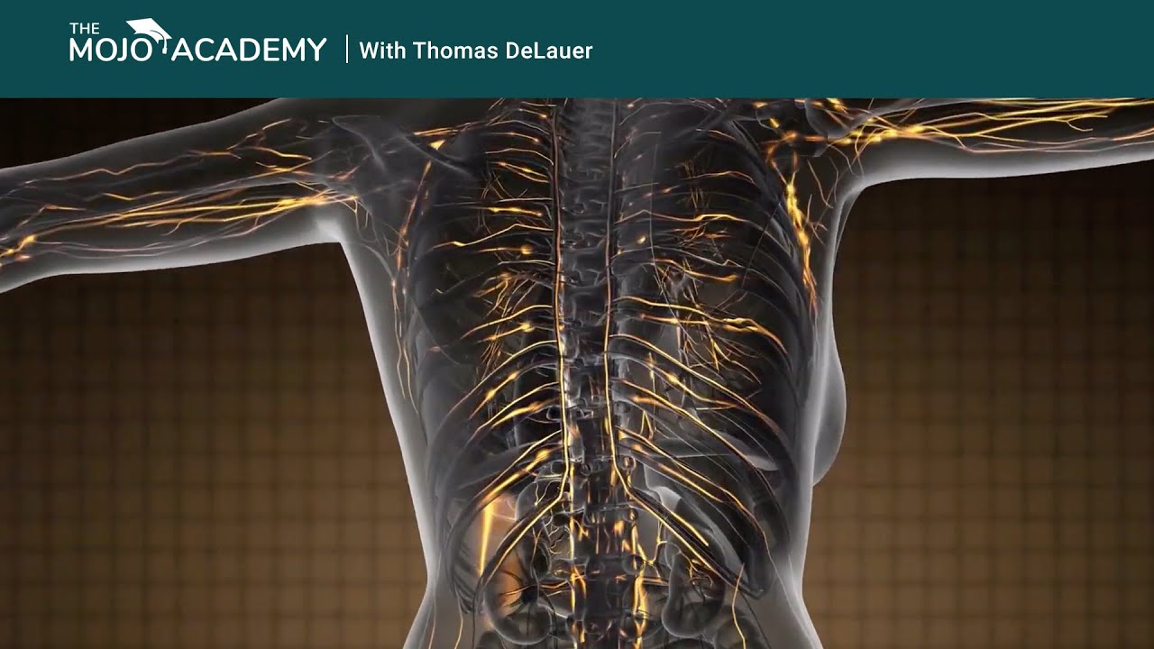 can-keto-curtail-menopausal-symptoms