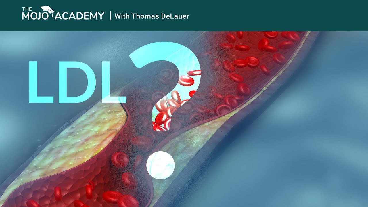what-is-oxidized-ldl-cholesterol