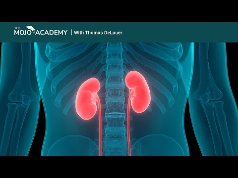 keto-for-polycystic-kidney-disease